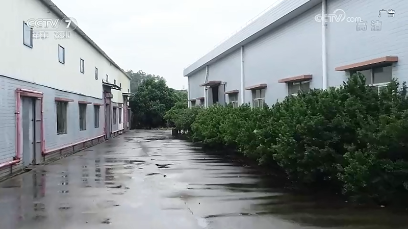 1546670669803194.png 03_副本.png