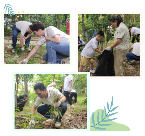 1712049018248345.png image.png