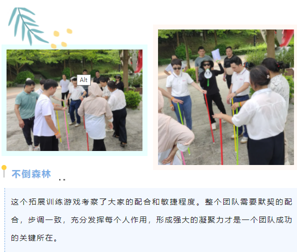 1712049797238620.png image.png